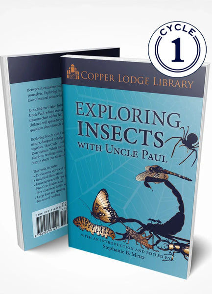 Exploring Insects with Uncle Paul